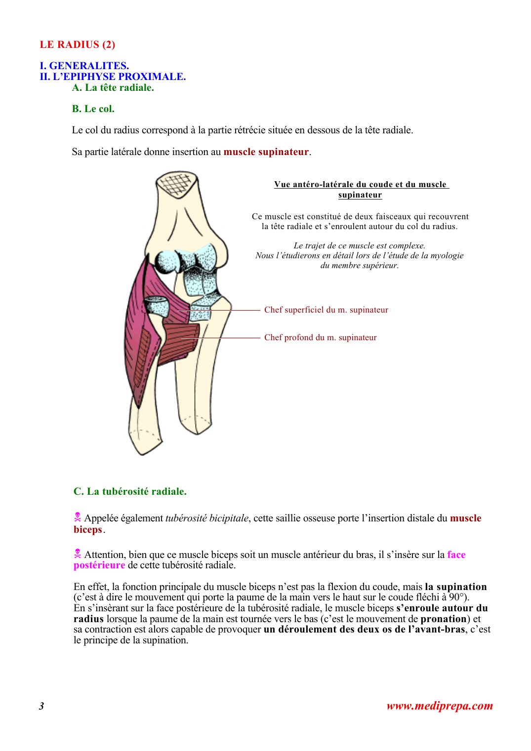 Prévisualisation du document LE RADIUS (2)I.