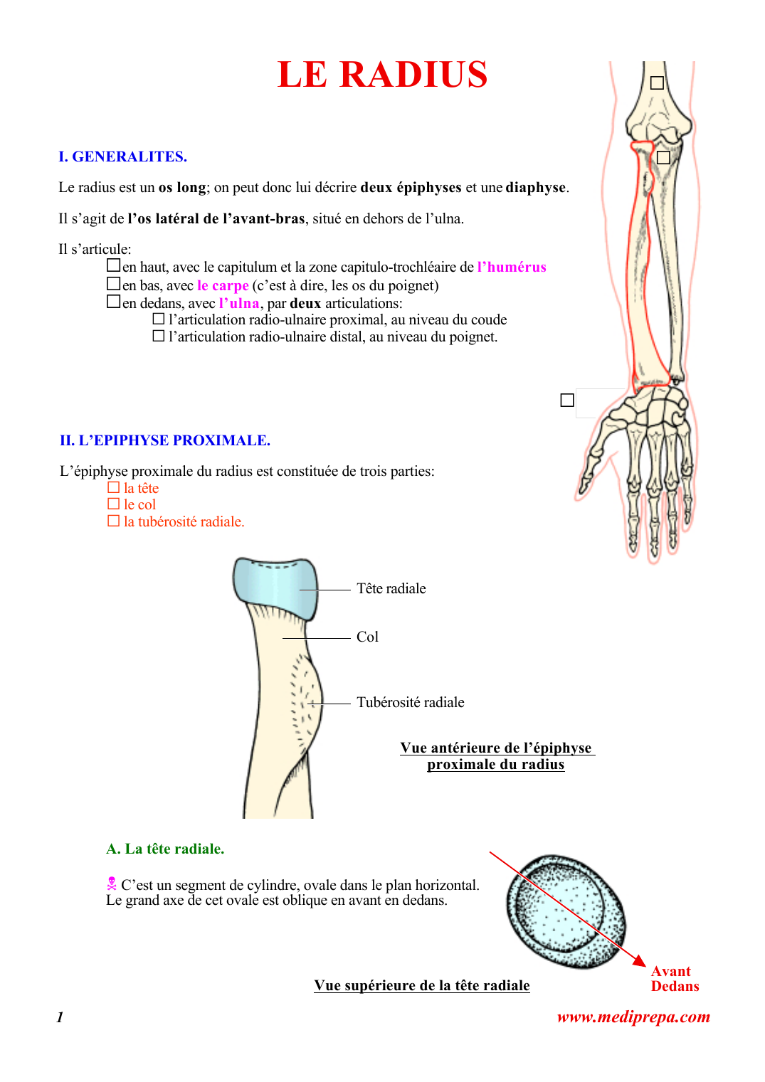 Prévisualisation du document LE RADIUSŒŽI.