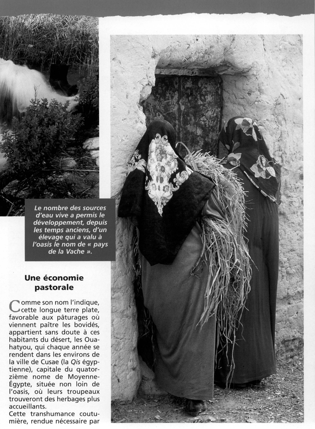 Prévisualisation du document Le rôle stratégique de l'oasis de Farafra