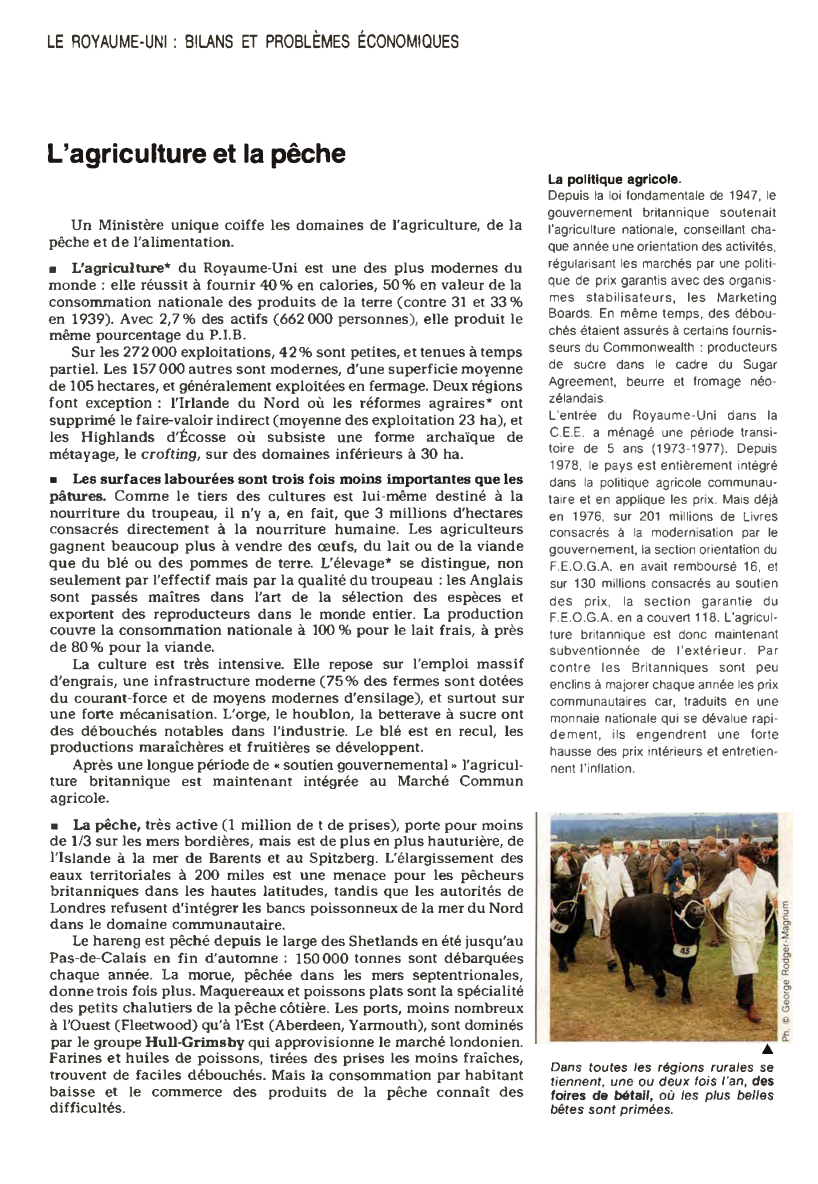 Prévisualisation du document LE ROYAUME-UNI : BILANS ET PROBLÈMES ÉCONOMIQUES

L'agriculture et la pêche
Un Ministère unique coiffe les domaines de l'agriculture, de...