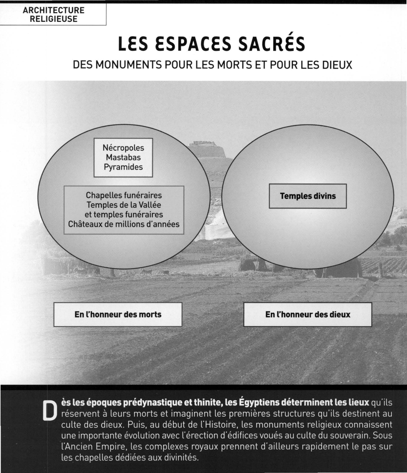 Prévisualisation du document LE SERAPEUM