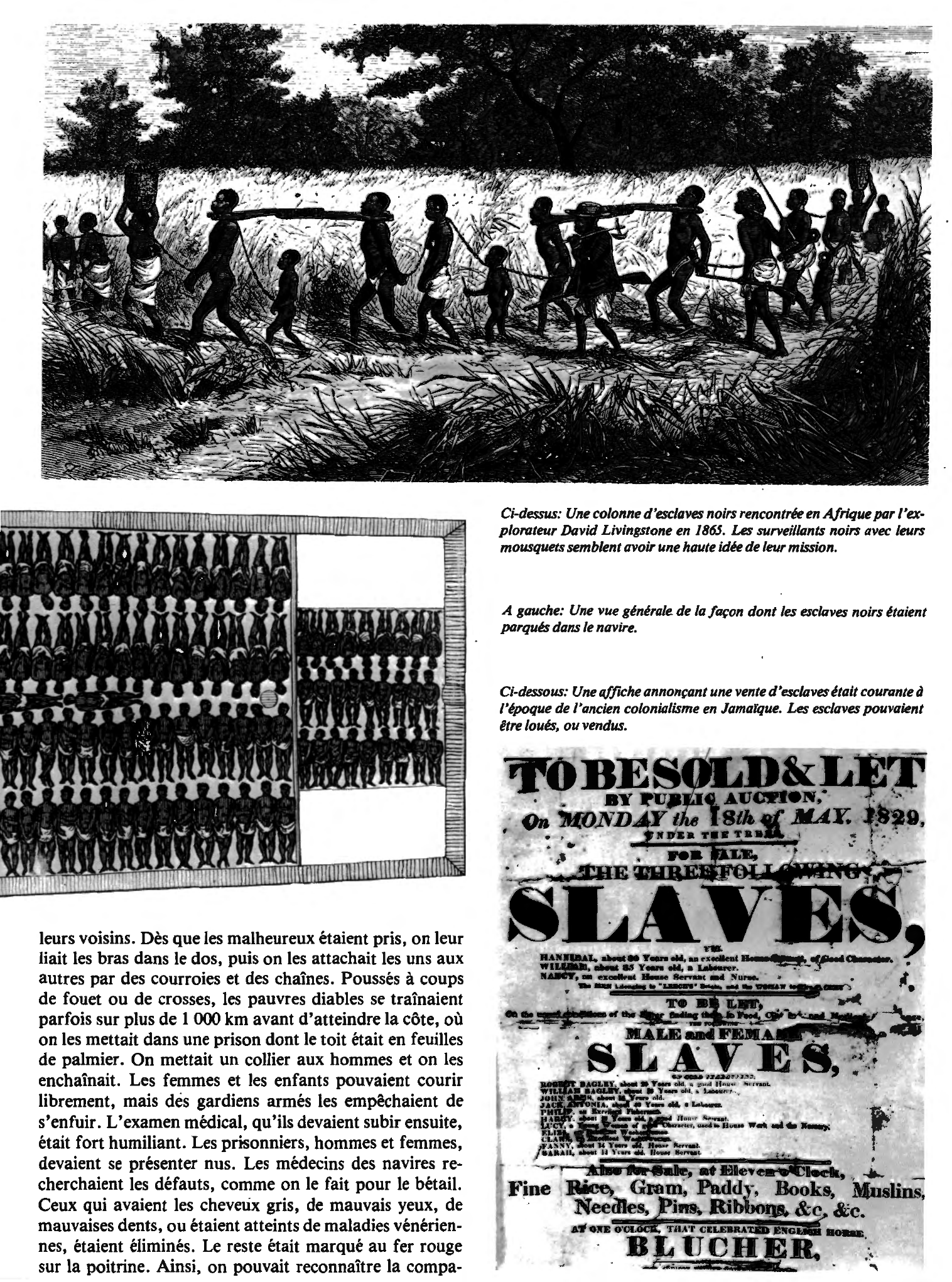 Prévisualisation du document Le trafic des esclaves noirs