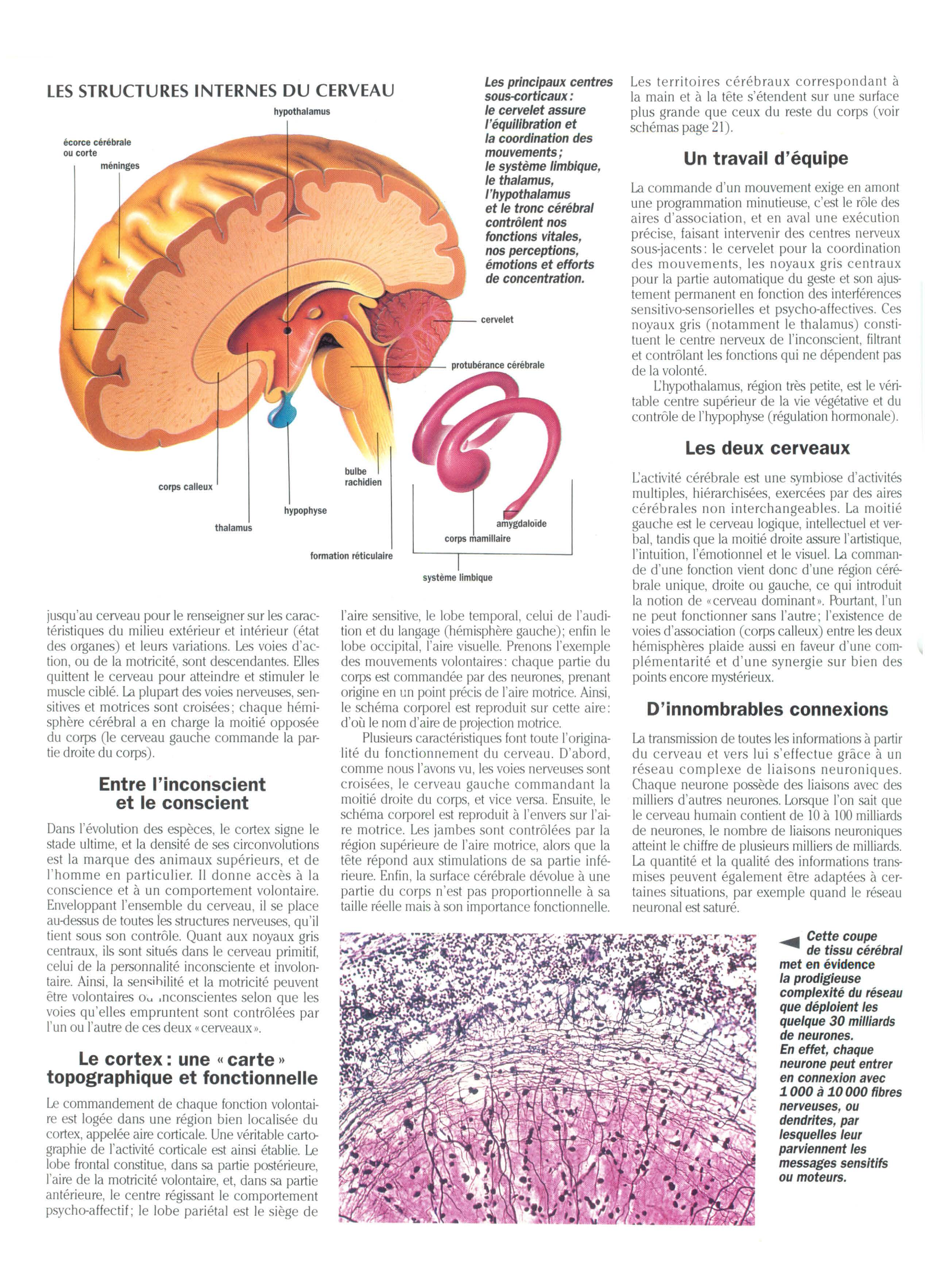 Prévisualisation du document Le Traitement de l'information