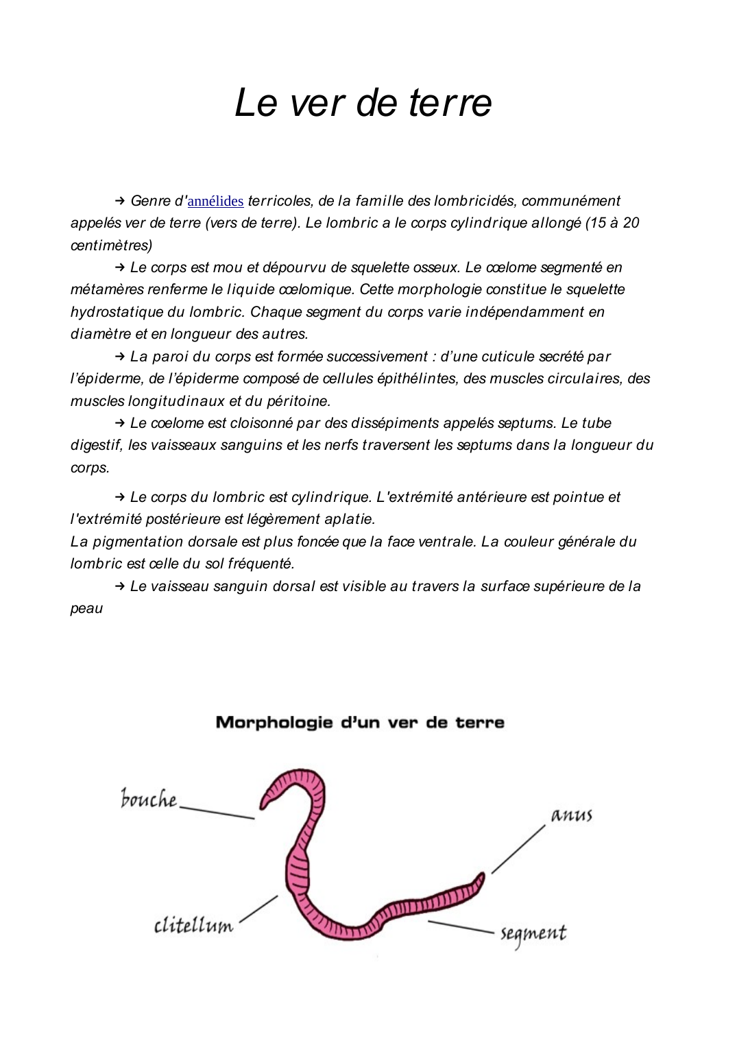 Prévisualisation du document Le ver de terre