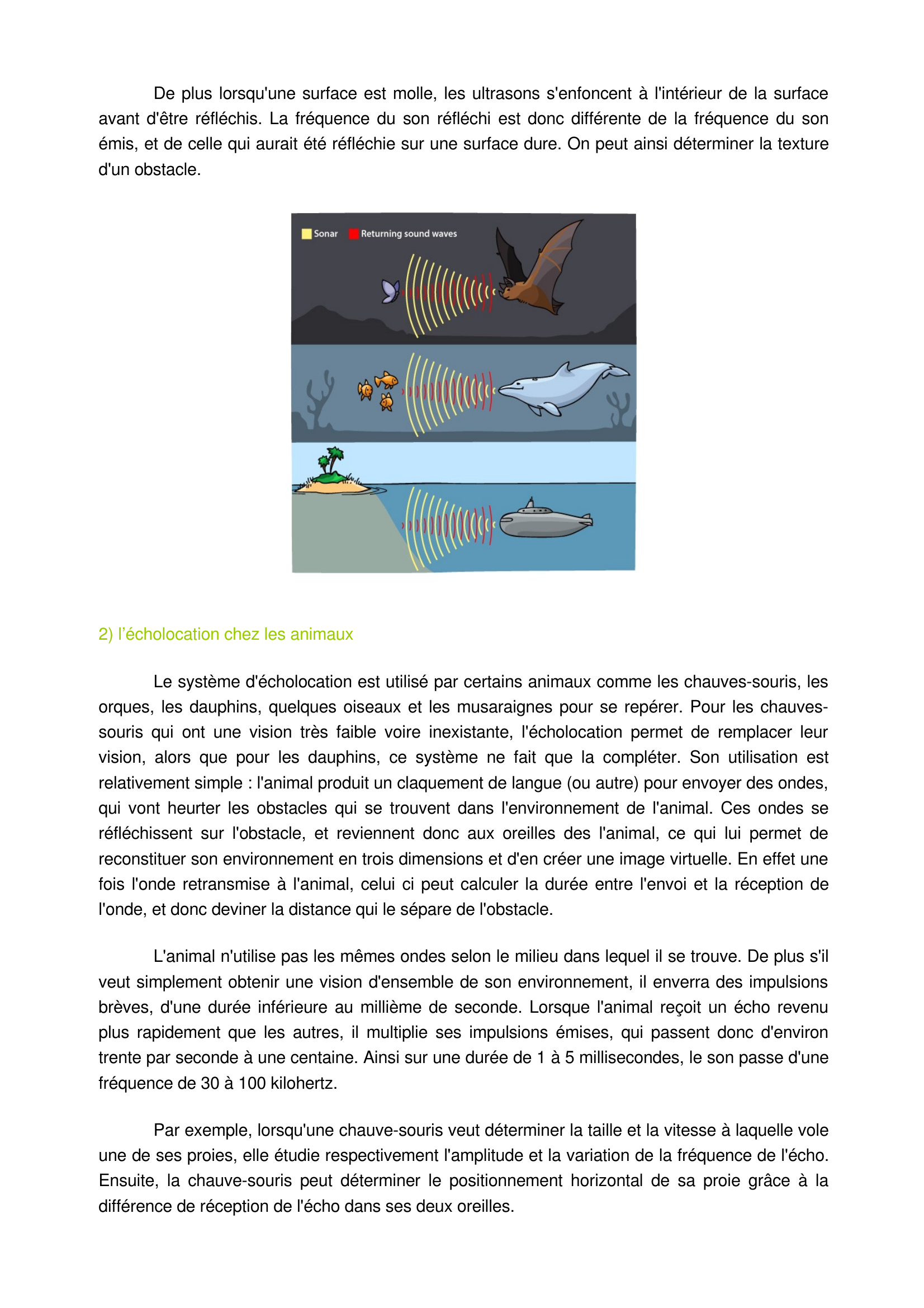 Prévisualisation du document l'écholocation