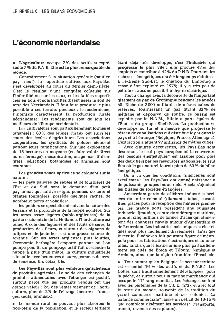 Prévisualisation du document L'économie néerlandaise (en 1980)