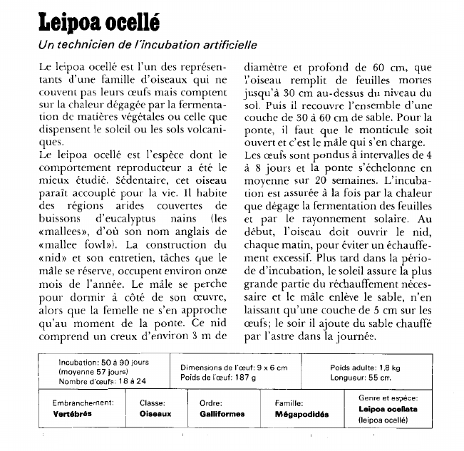 Prévisualisation du document Leipoa ocellé:Un technicien de l'incubation artificielle.