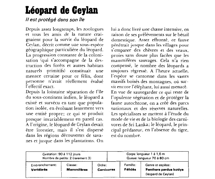 Prévisualisation du document Léopard de Ceylan:est protégé dans son île.