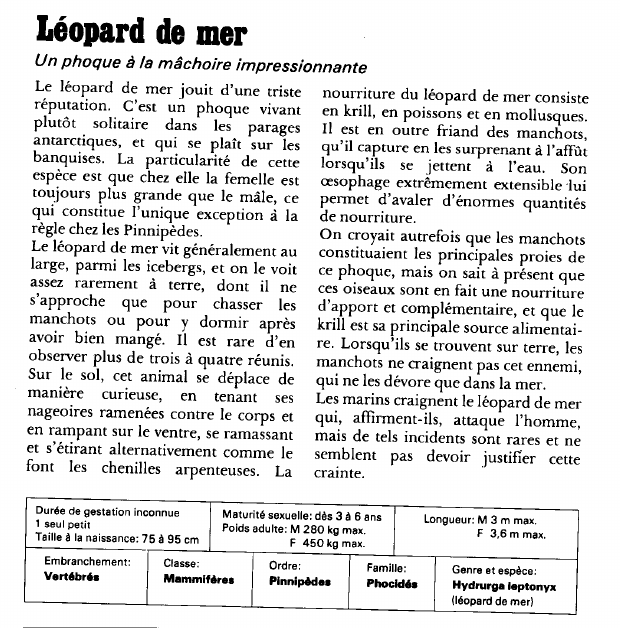 Prévisualisation du document Léopard de mer:Un phoque à la mâchoire impressionnante.