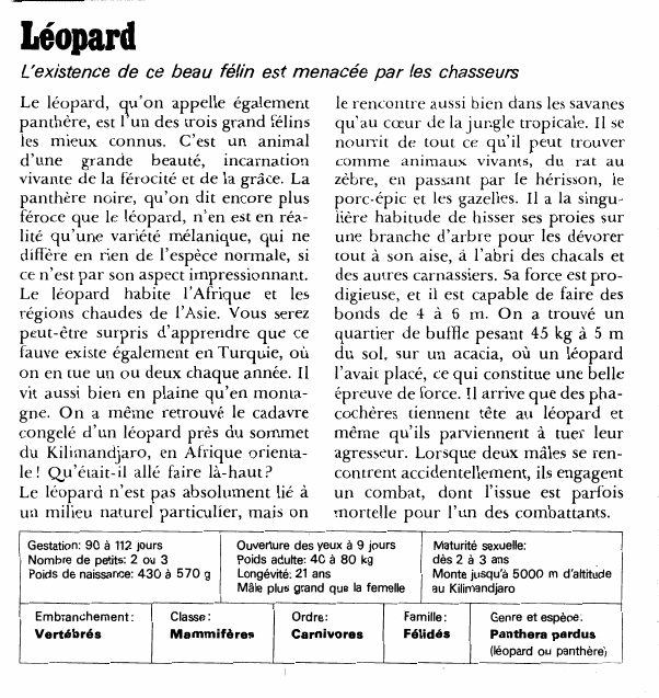 Prévisualisation du document LéopardL'existence de ce beau félin est menacée par les chasseursLe léopard, qu'on appelle également panthère, est l'un des trois grand félins les mieux connus.