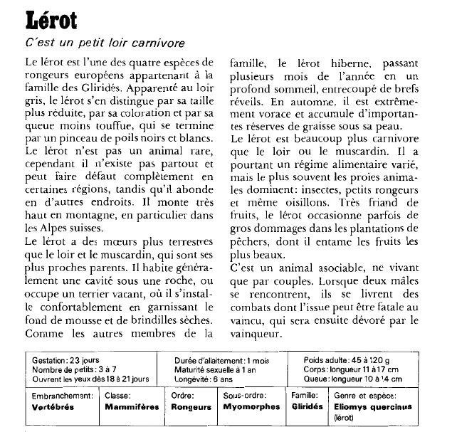 Prévisualisation du document Lérot:C'est un petit loir carnivore.