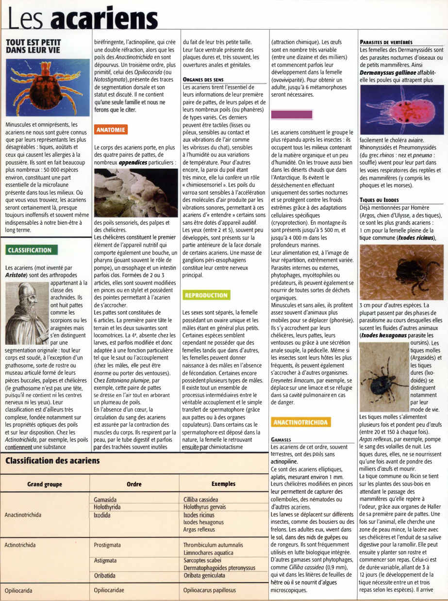 Prévisualisation du document Les acariens