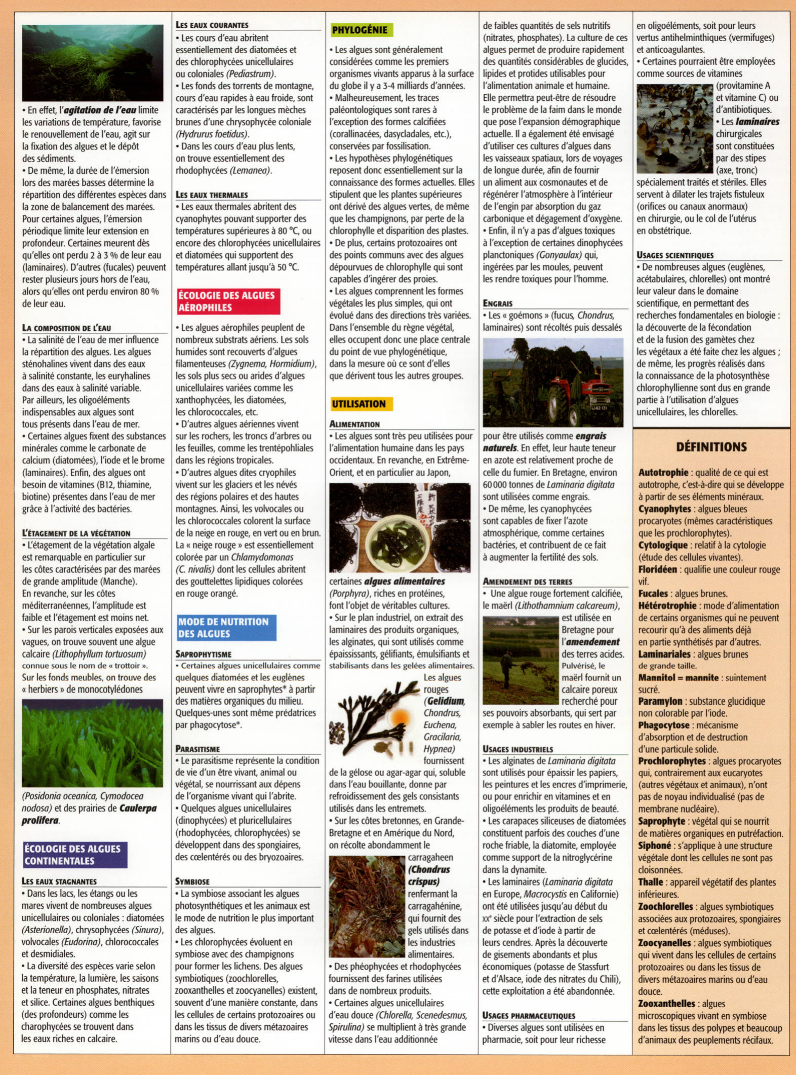 Prévisualisation du document Les algues