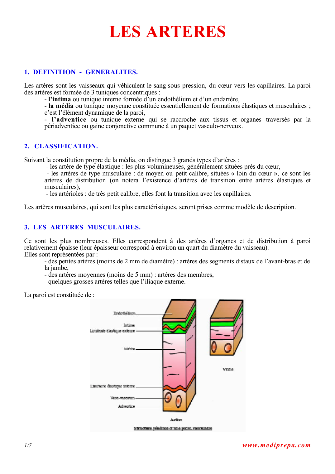 Prévisualisation du document LES ARTERES1
