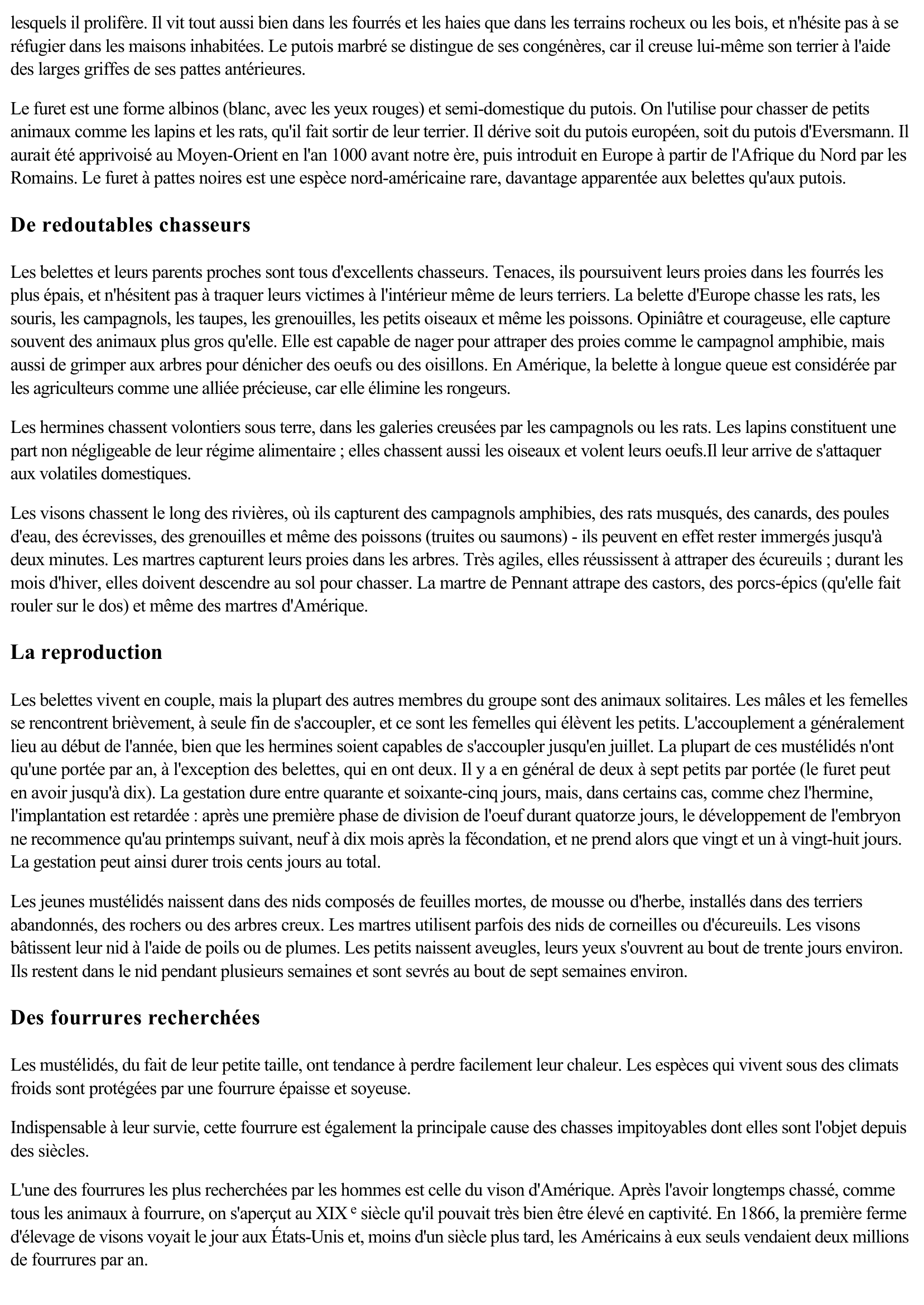 Prévisualisation du document Les belettes (Faune et Flore)
