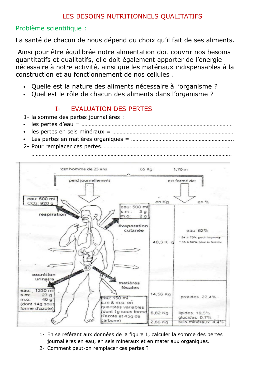 Prévisualisation du document LES BESOINS NUTRITIONNELS QUALITATIFS