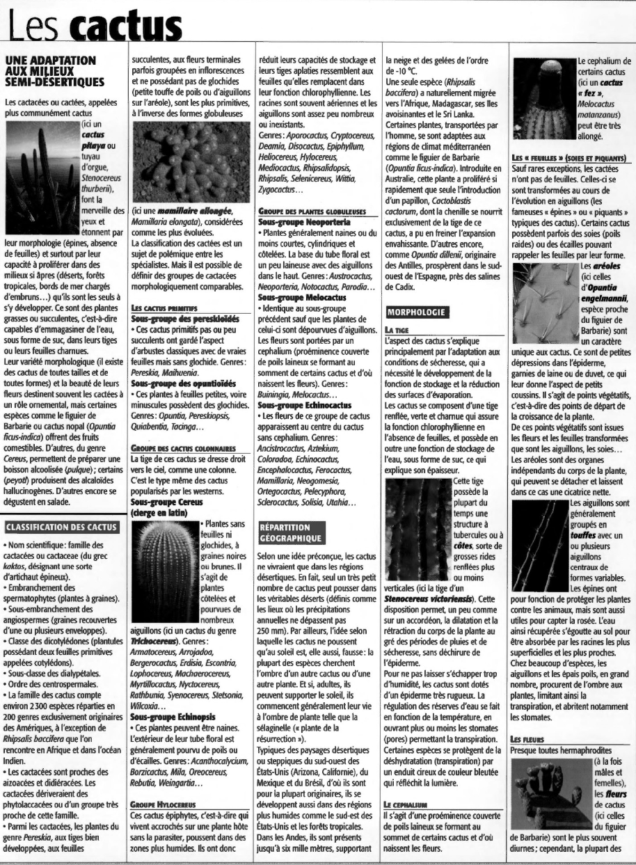 Prévisualisation du document Les cactus