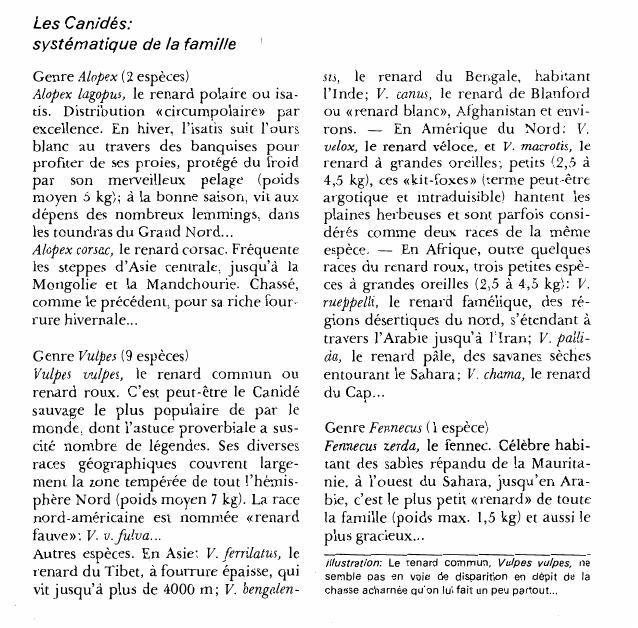 Prévisualisation du document Les Canidés:systématique de la famille.