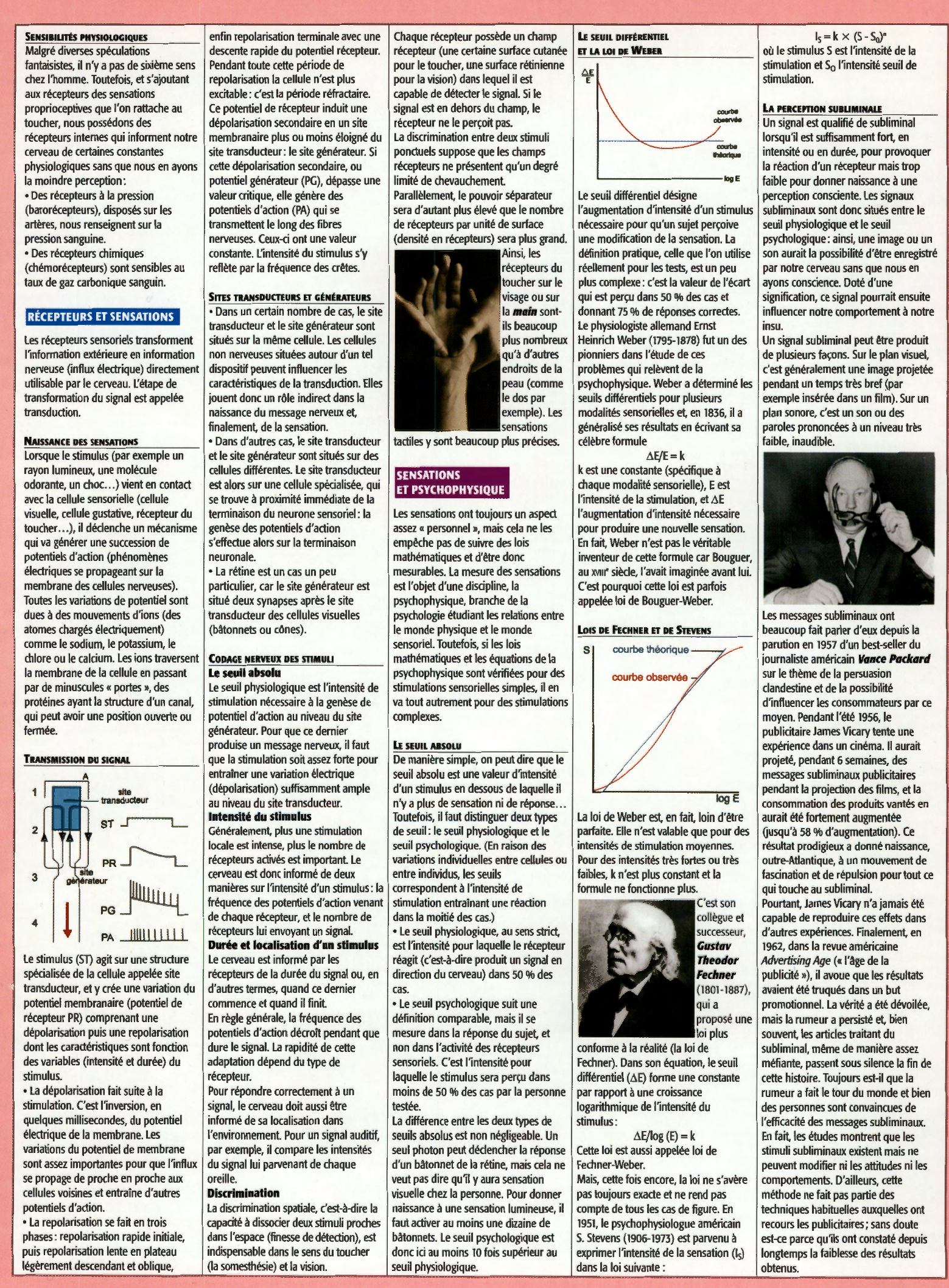 Prévisualisation du document Les cinq sens