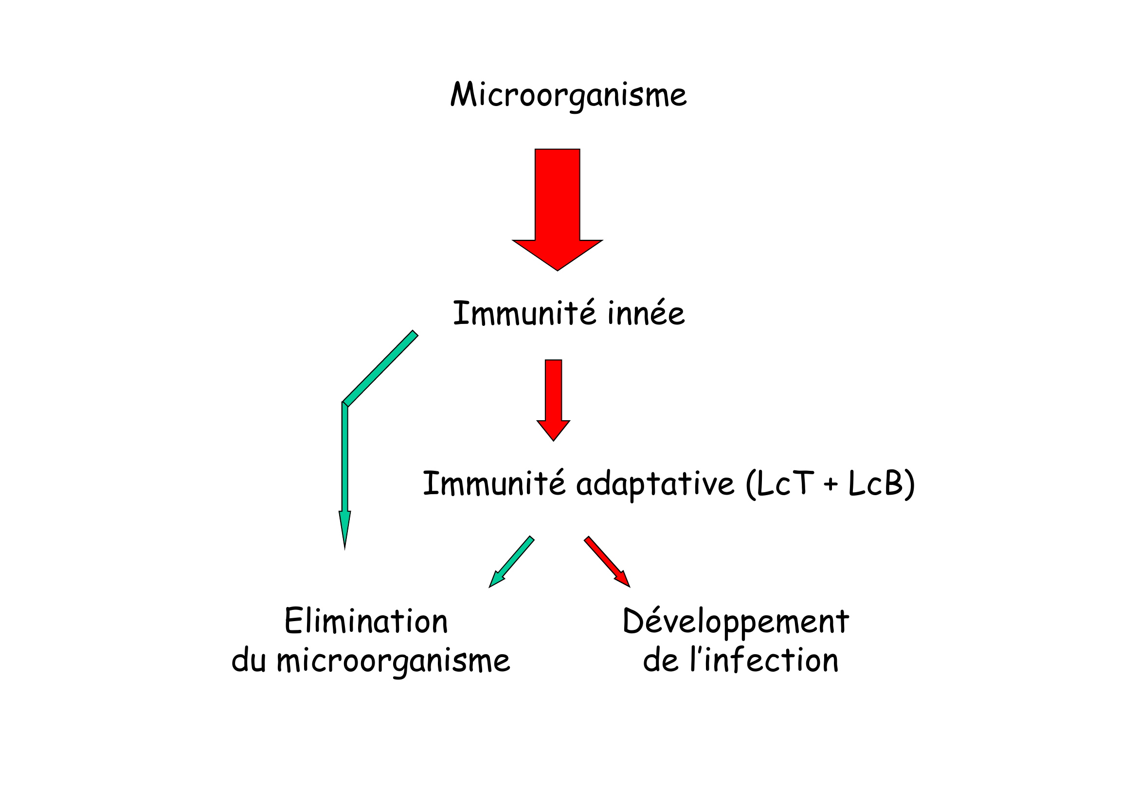 Prévisualisation du document Les composantes humorales, moléculaires
et cellulaires de l'immunité innée

Dr C.