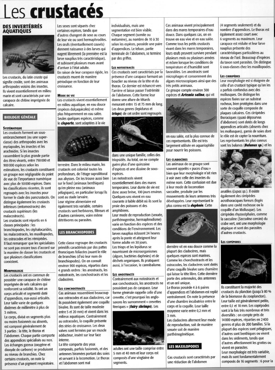 Prévisualisation du document Les crustacés
