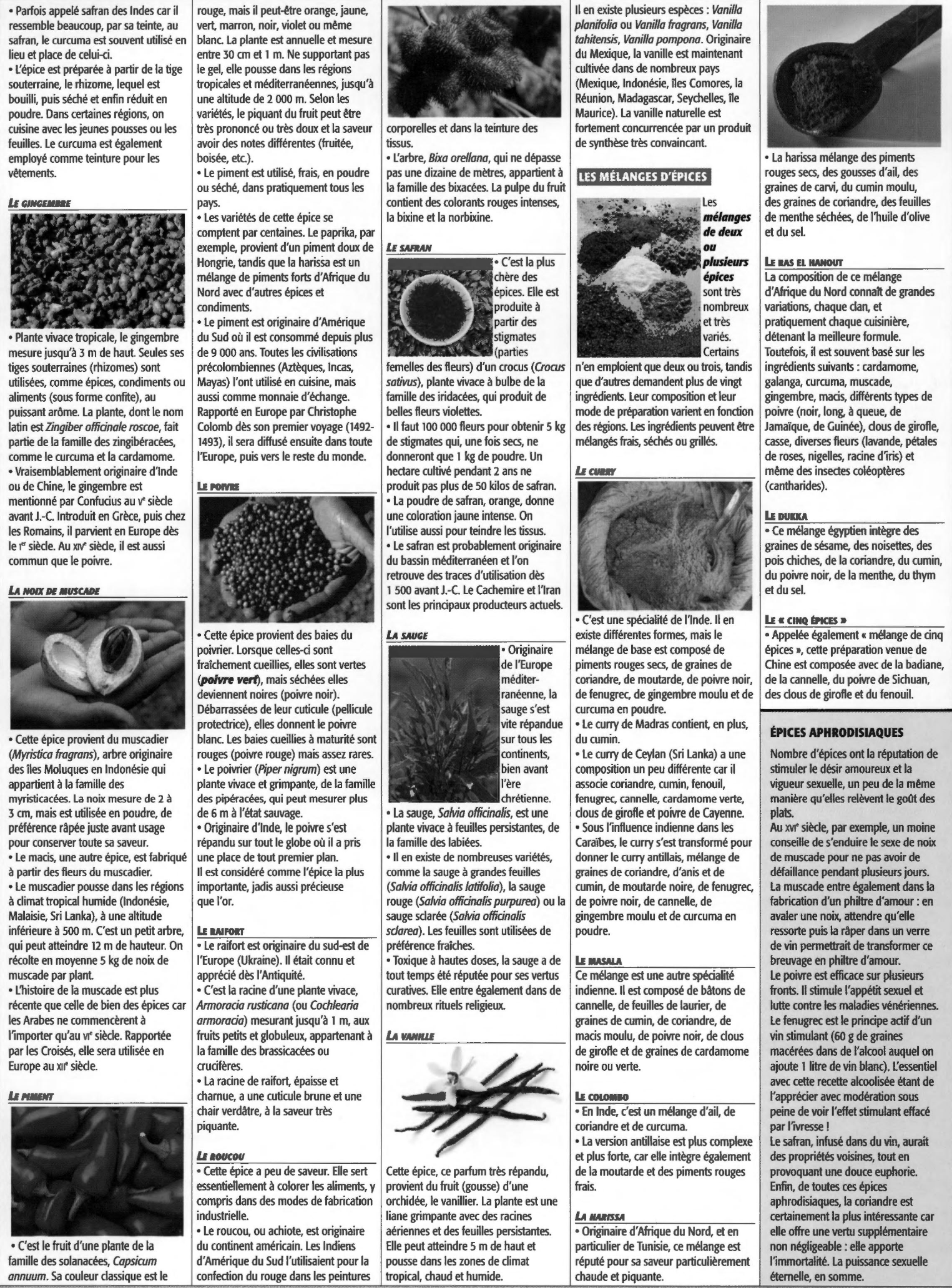 Prévisualisation du document Les épices dans le monde
