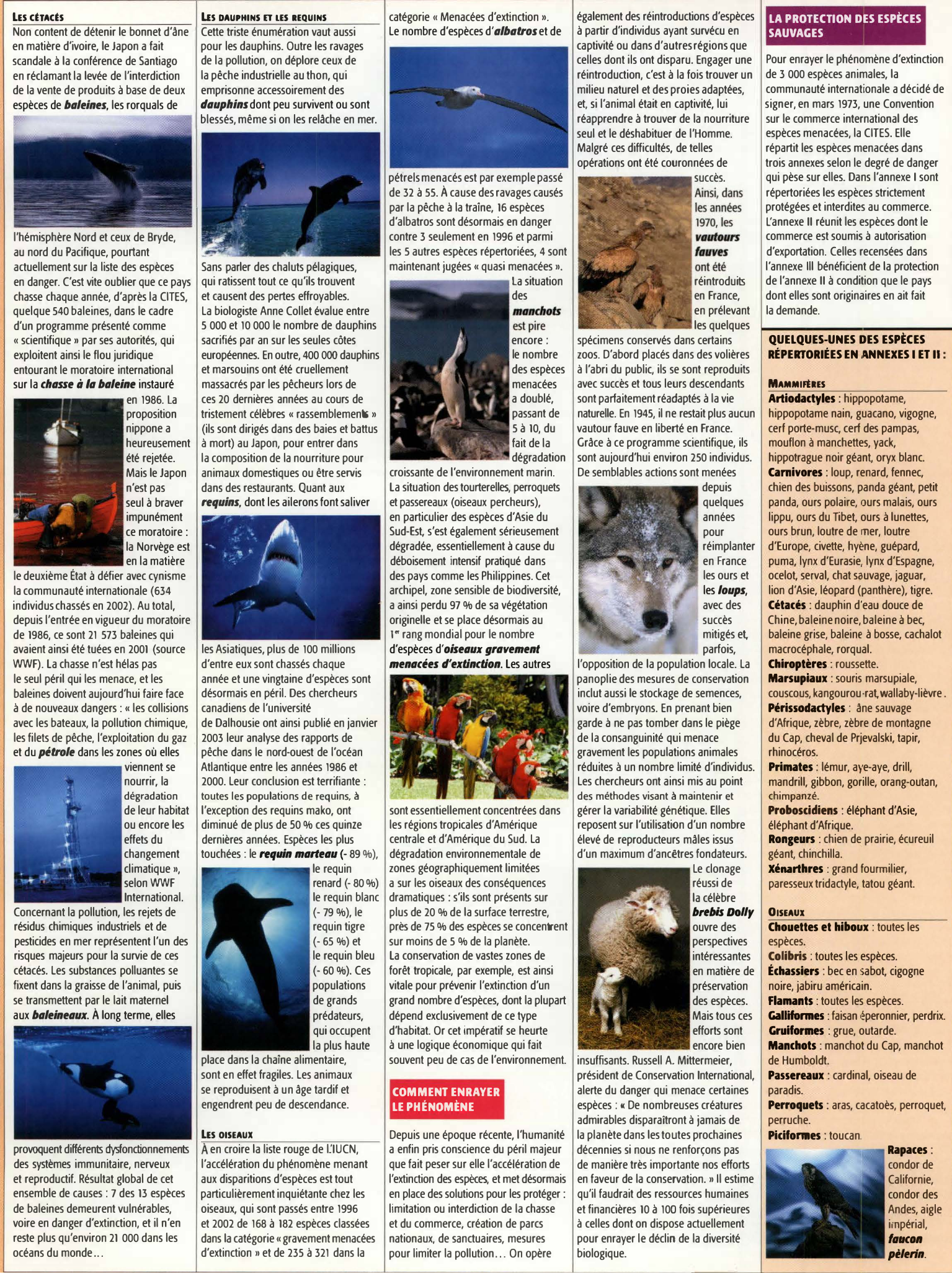 Prévisualisation du document Les espèces animales menacées
