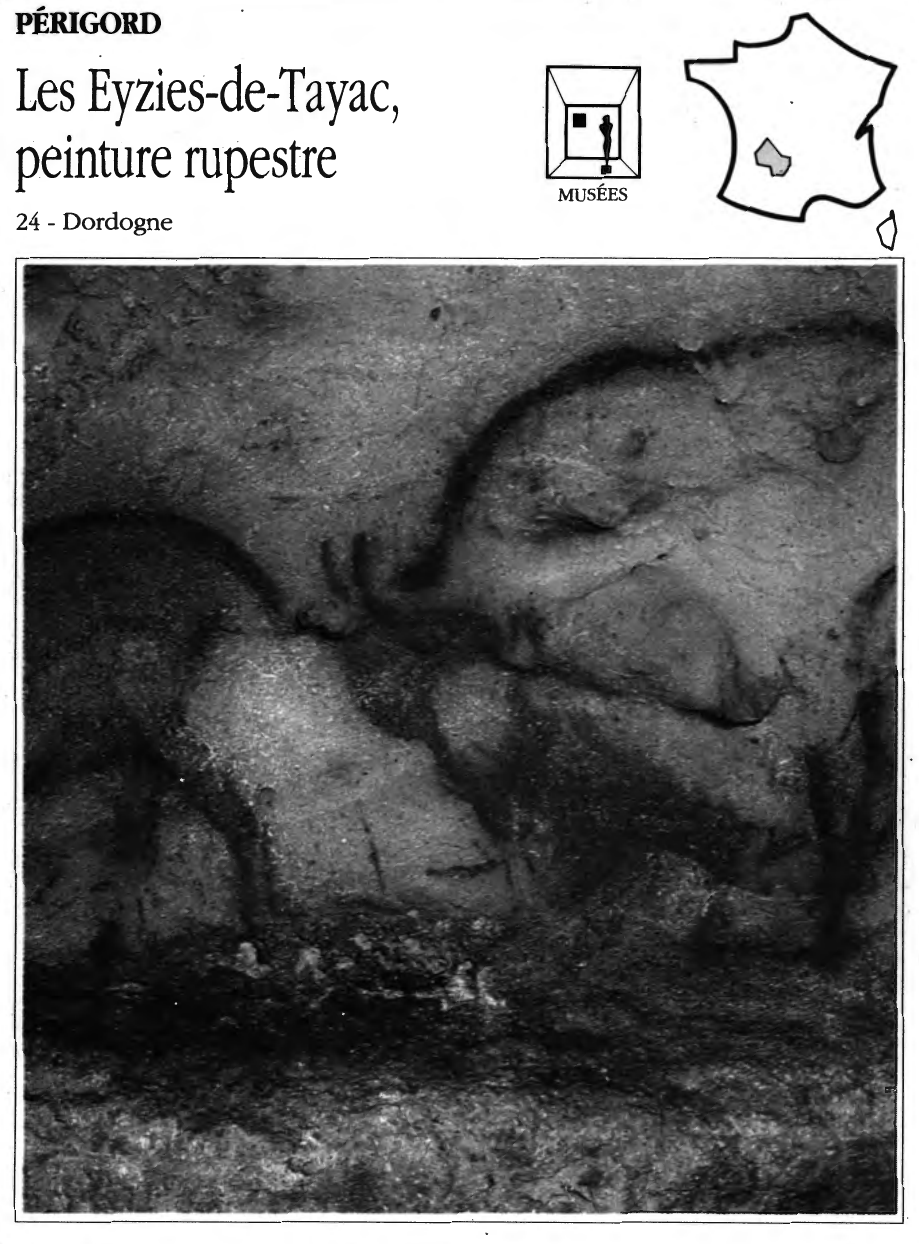 Prévisualisation du document Les Eyzies-de-Tayac, peinture rupestre - Dordogne