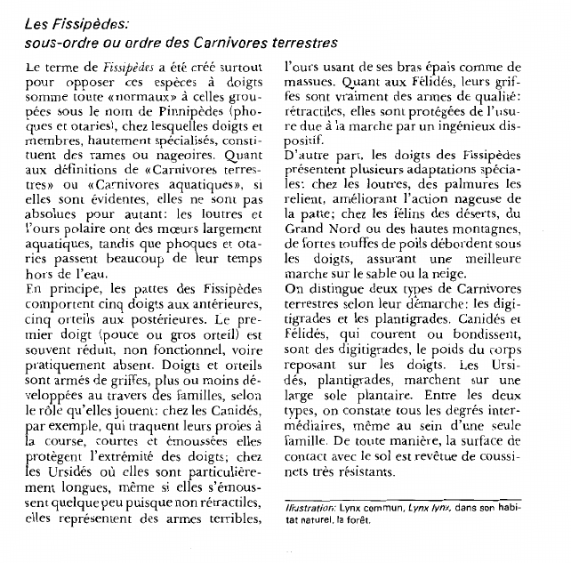 Prévisualisation du document Les Fissipèdes:sous-ordre ou ordre des Carnivores terrestres.
