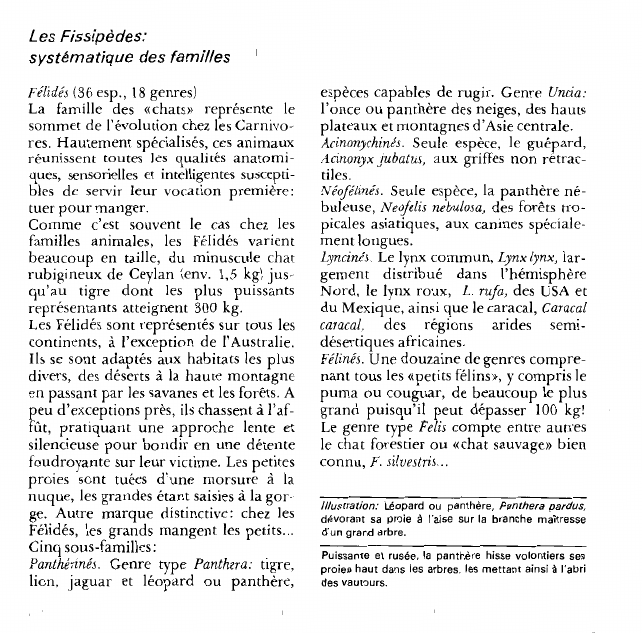 Prévisualisation du document Les Fissipèdes:systématique des familles.