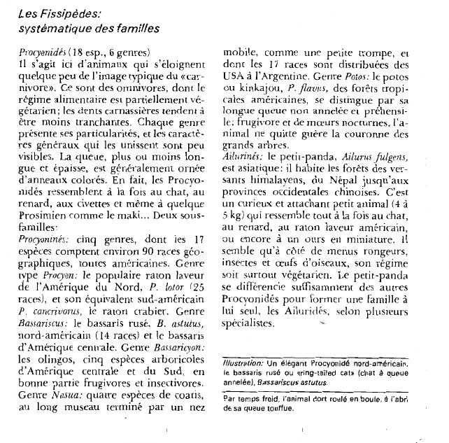 Prévisualisation du document Les Fissipèdes:systématique des familles.