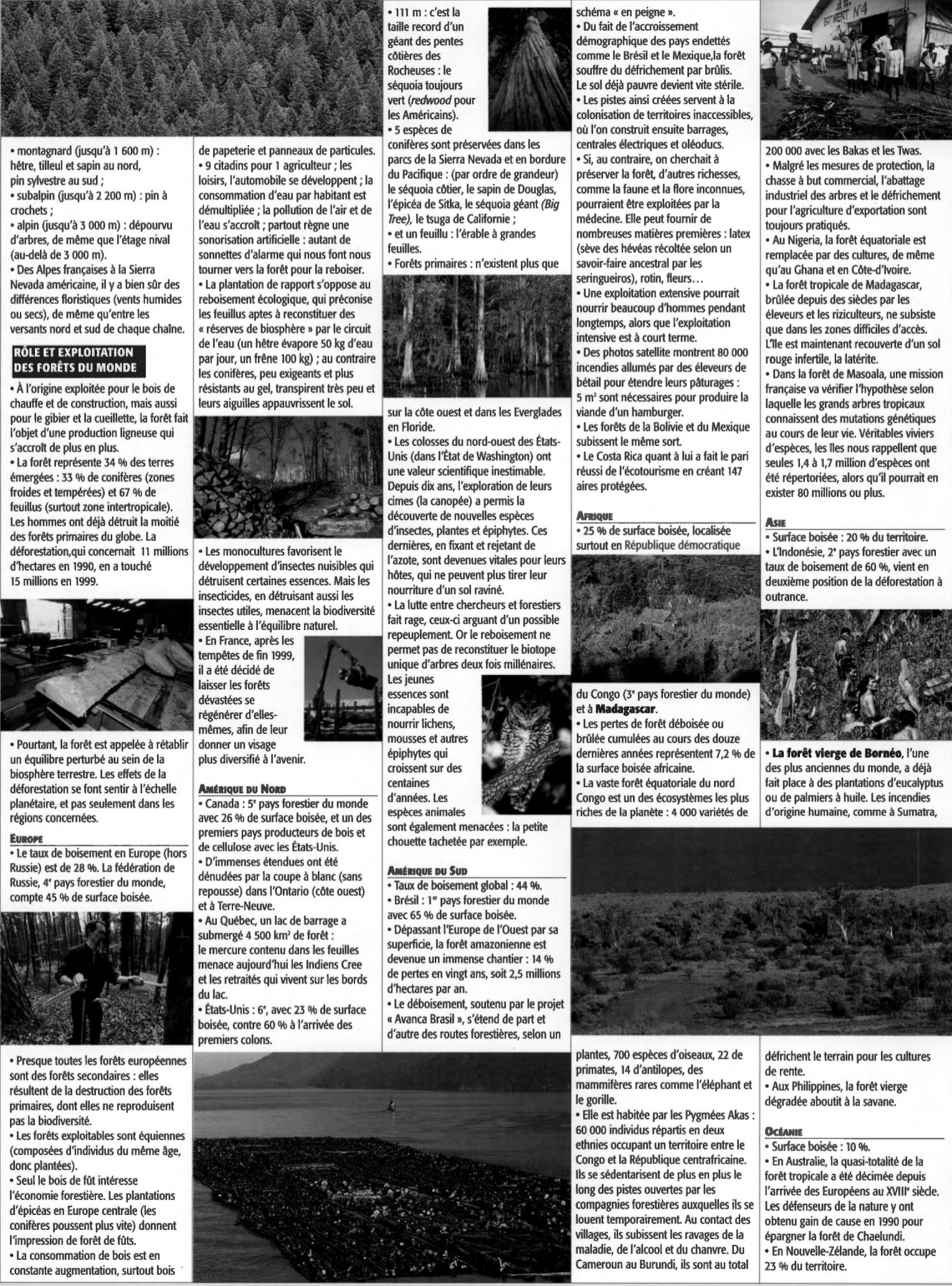 Prévisualisation du document LES FORETS DU MONDE: LES POUMONS DE NOTRE TERRE