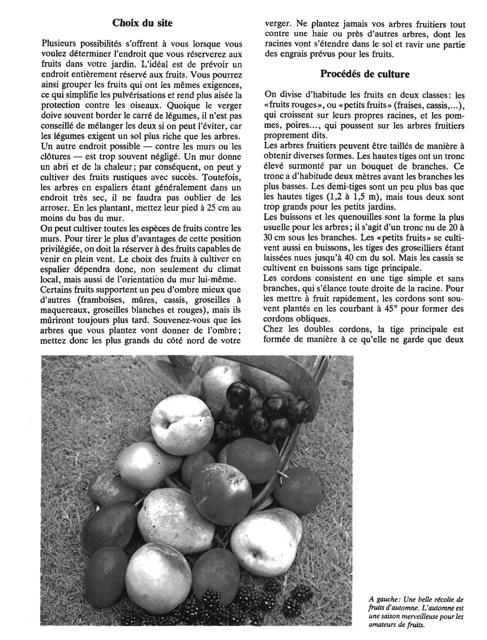 Prévisualisation du document Les fruits du jardin