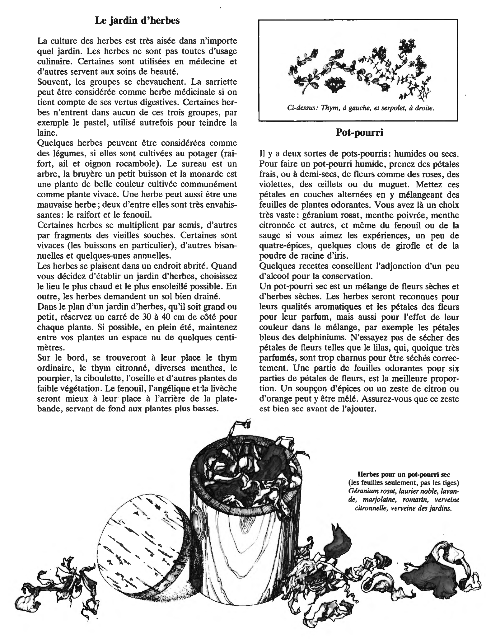 Prévisualisation du document Les herbes et leurs usages