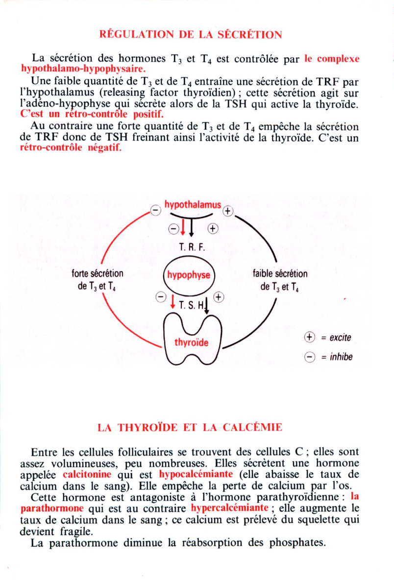 Prévisualisation du document LES HORMONES THYROÏDIENNES ET LEUR RÉGULATION (SVT)