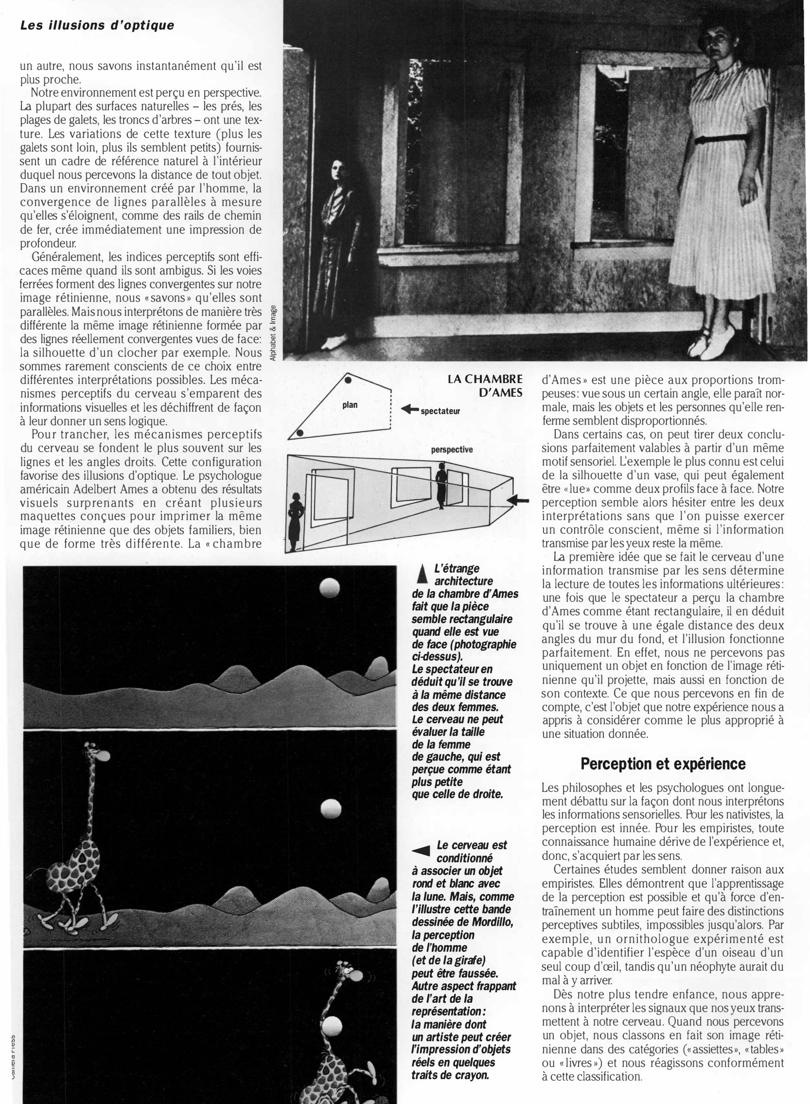 Prévisualisation du document LES ILLUSIONS D'OPTIQUE