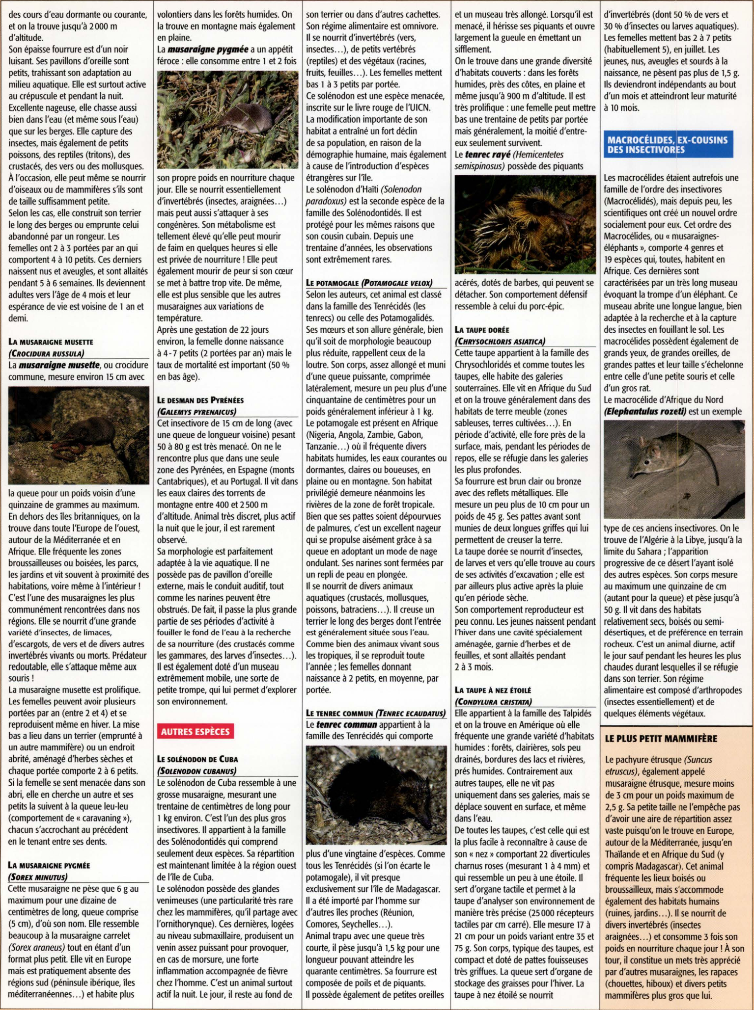 Prévisualisation du document Les insectivores (Exposé – SVT – Collège/Lycée)