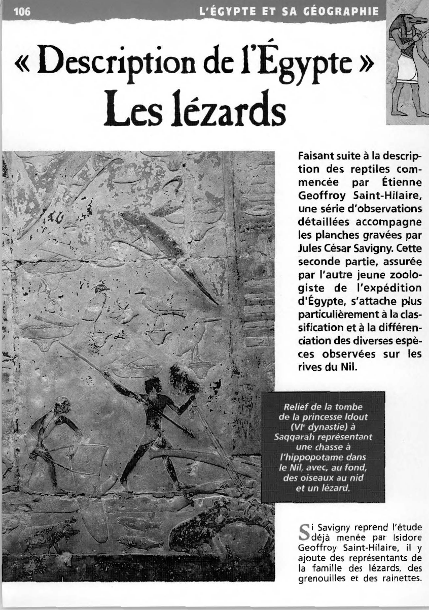 Prévisualisation du document Les lézards