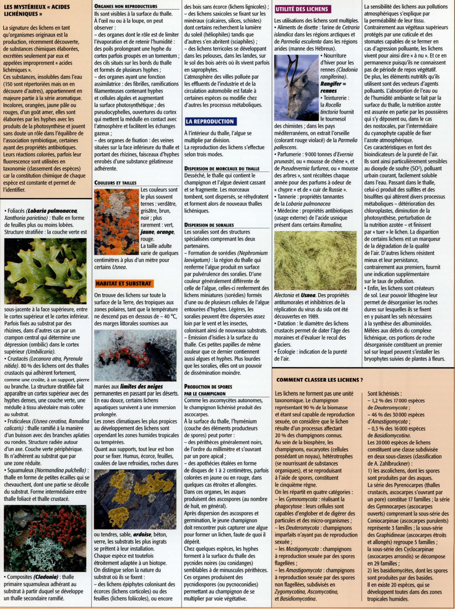 Prévisualisation du document Les lichens