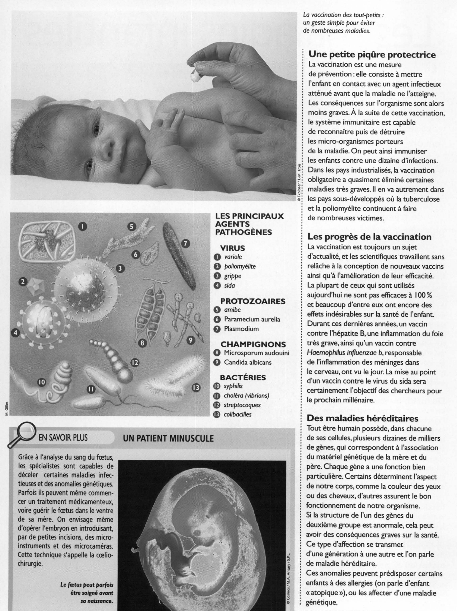 Prévisualisation du document Les maladies infantiles