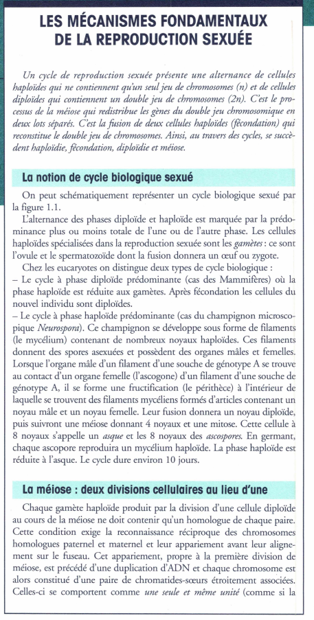 Prévisualisation du document LES MÉCANISMES FONDAMENTAUX
DE LA REPRODUCTION SEXUÉE
Un cycle de reproduction sexuée présente une alternance de cellules
haploïdes qui ne...