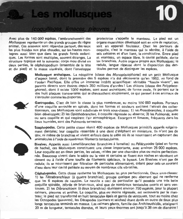 Prévisualisation du document les mollusques.