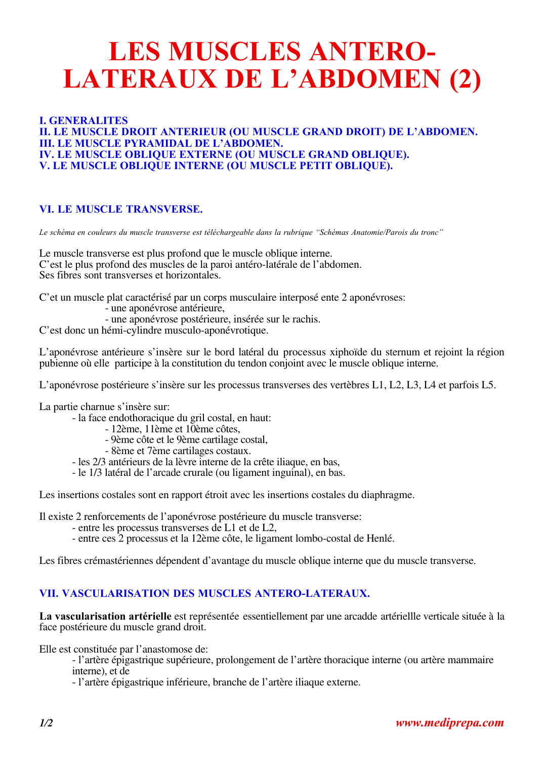Prévisualisation du document LES MUSCLES ANTERO-LATERAUX DE L'ABDOMEN.