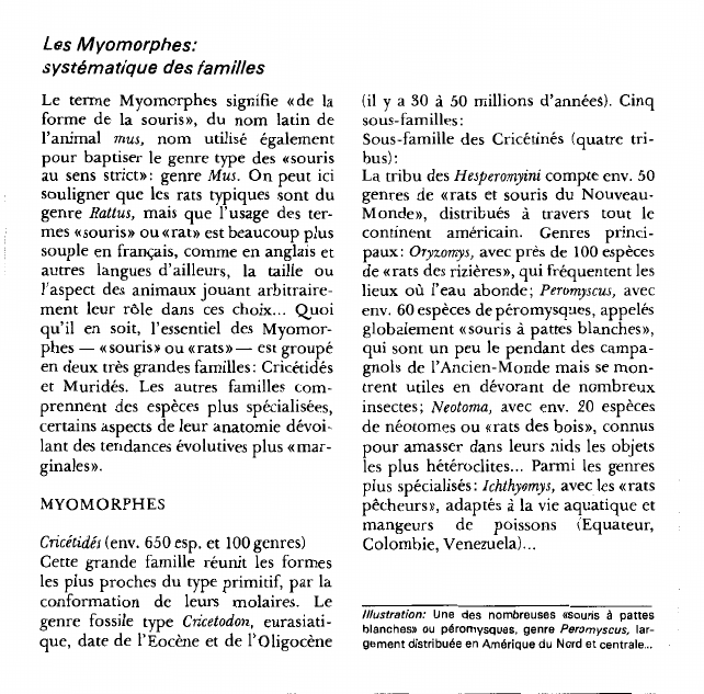 Prévisualisation du document Les Myomorphes:systématique des familles.