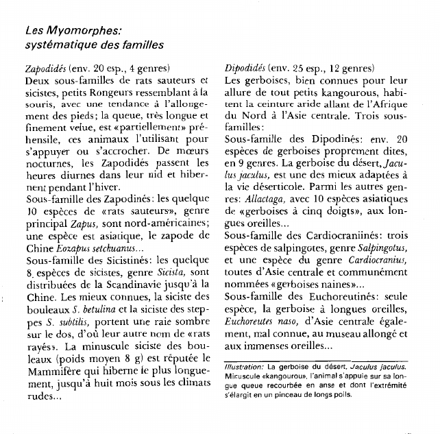 Prévisualisation du document Les Myomorphes:systématique des familles.