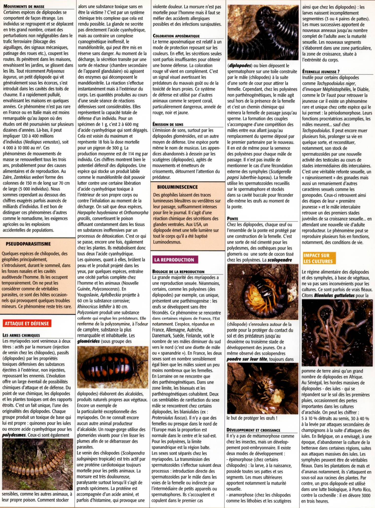 Prévisualisation du document les myriapodes