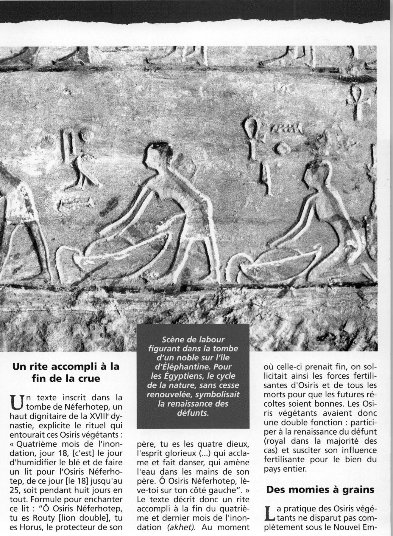 Prévisualisation du document Les Osiris végétants : renaissance du mort et de la végétation