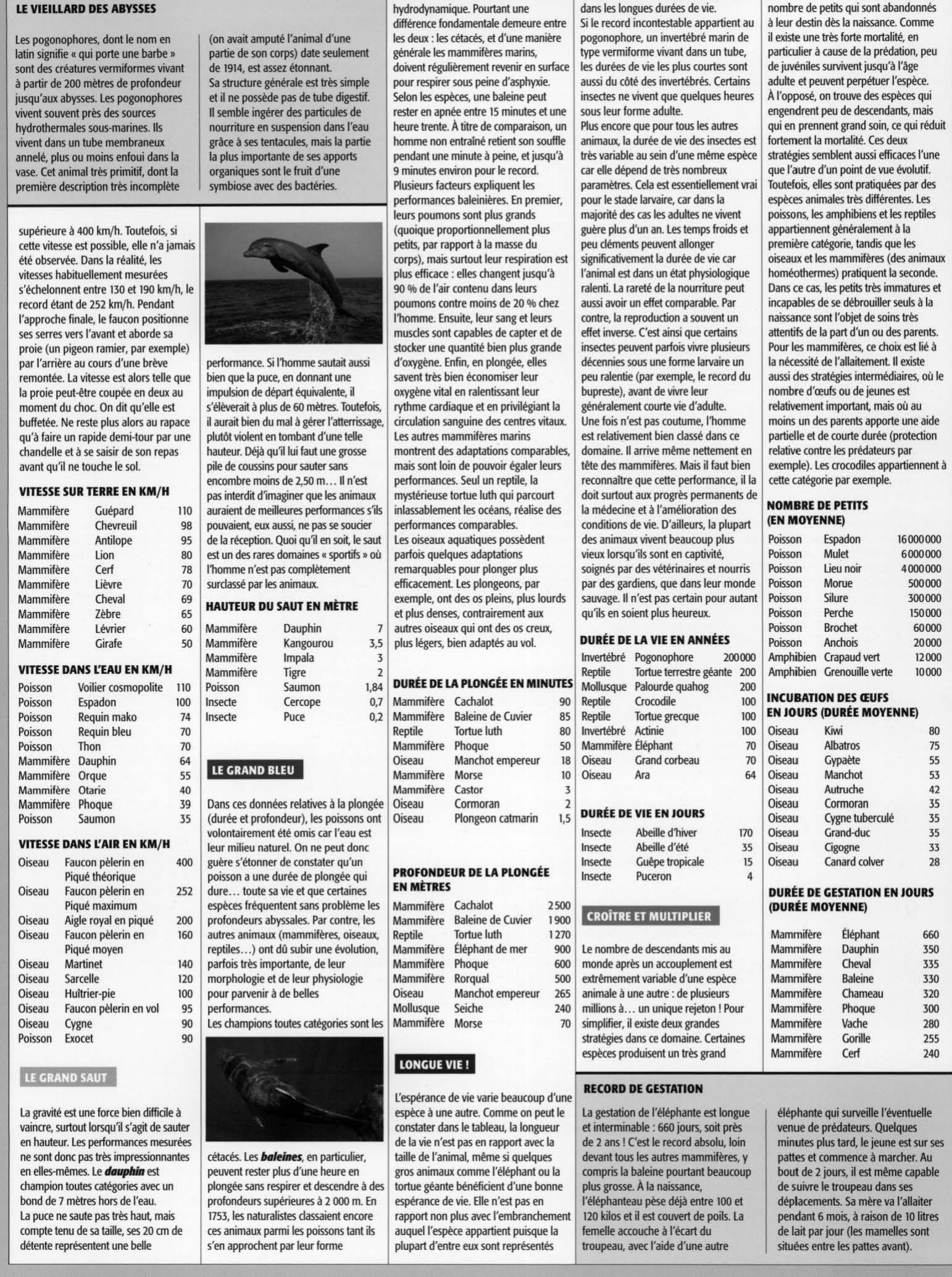 Prévisualisation du document LES PERFORMANCES DE LA NATURE