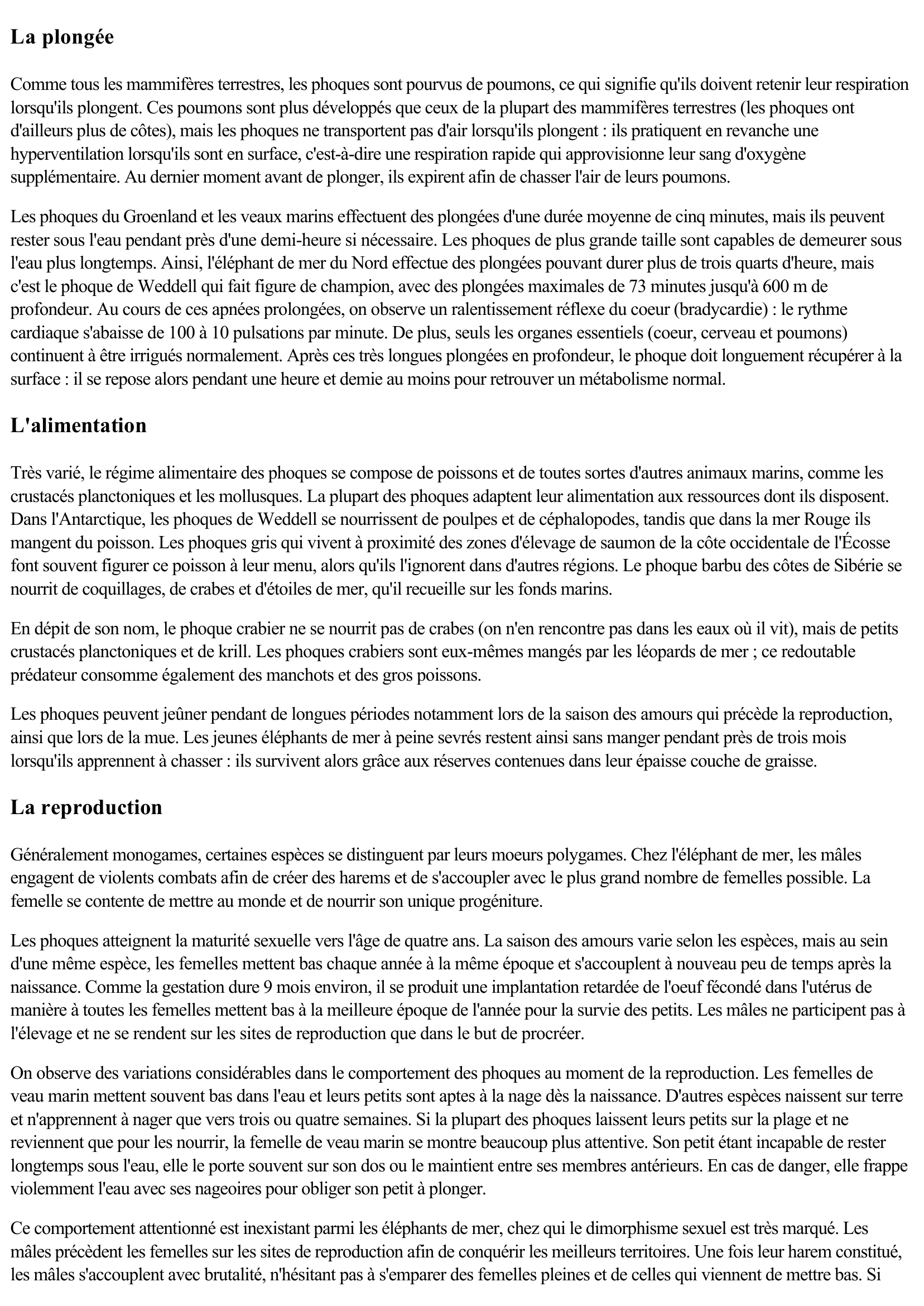 Prévisualisation du document Les phoques (Faune et Flore)