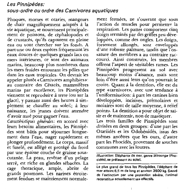 Prévisualisation du document Les Pinnipèdes:sous-ordre ou ordre des Carnivores aquatiques.